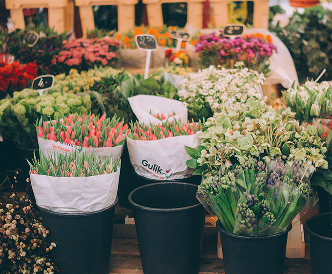 Javier Florensa Roldán, floristerías en Fraga